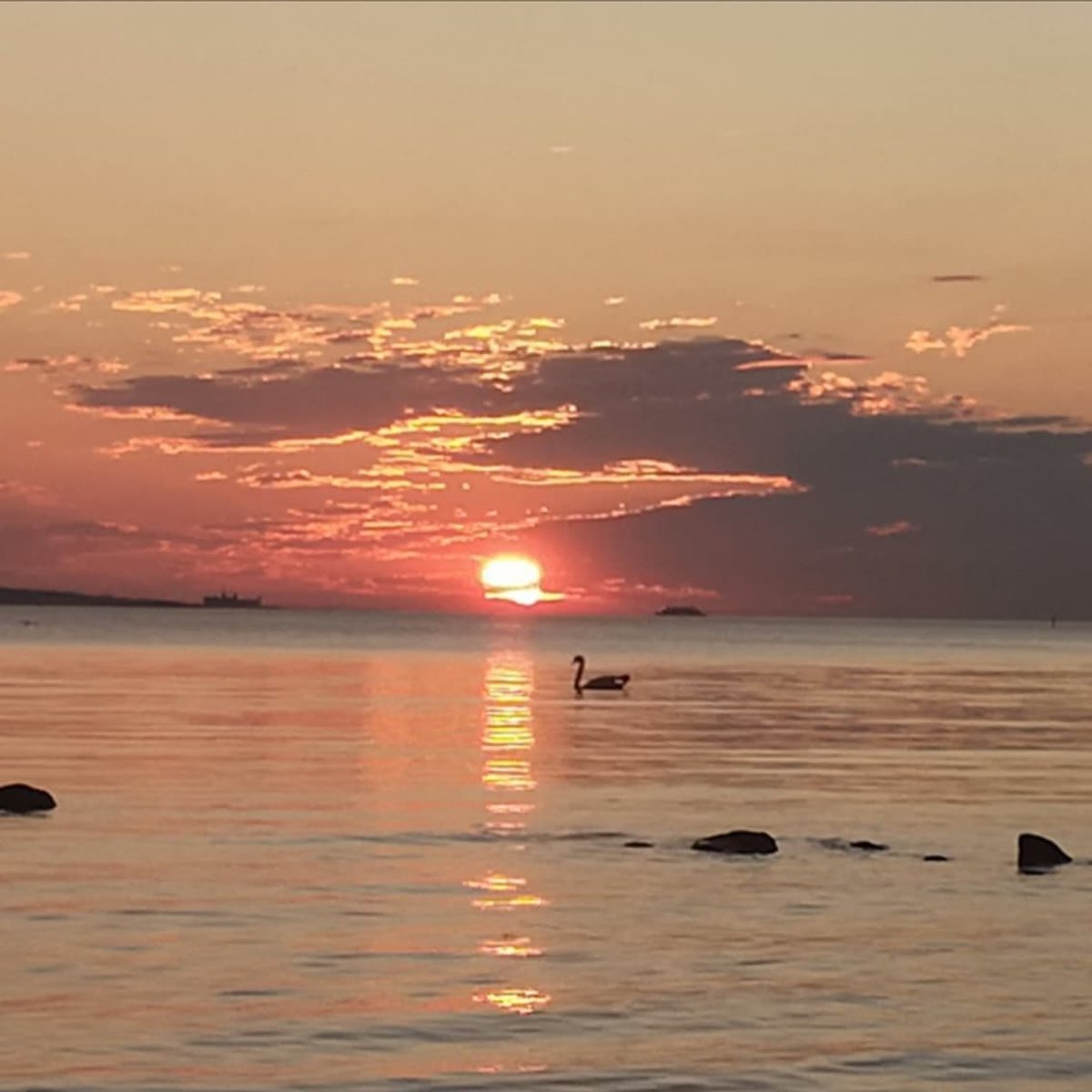 Saulės opozicija su Marsu 2020