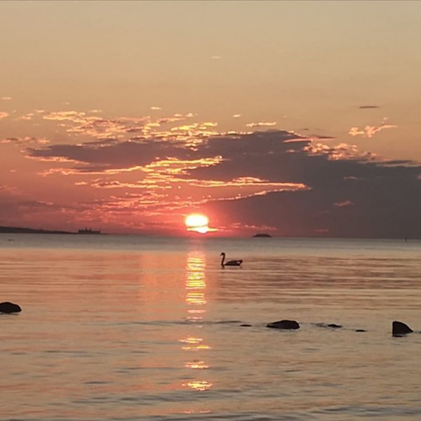 Saulės opozicija su Marsu 2020